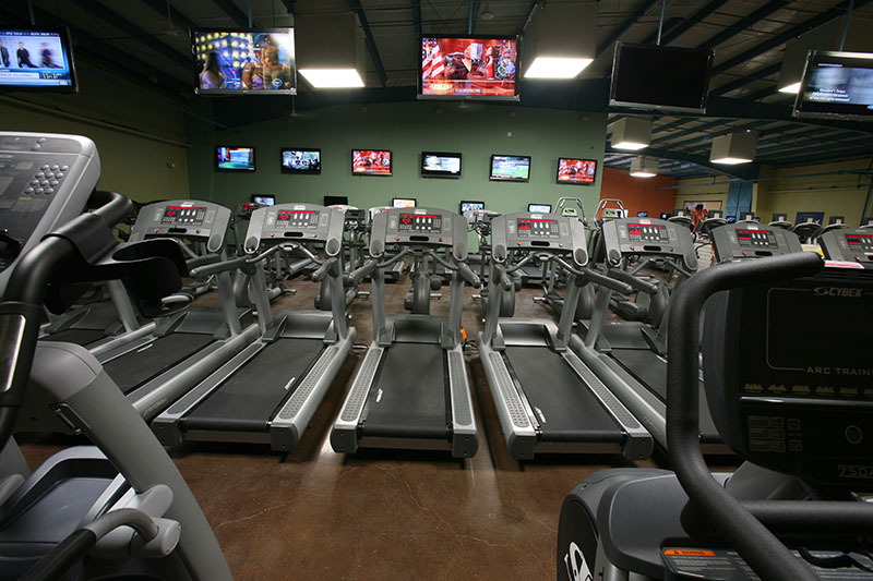 Inshape Modesto Sport Simile Built